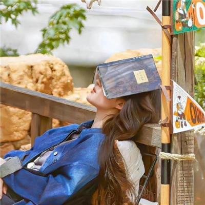 哥斯拉对机械哥斯拉