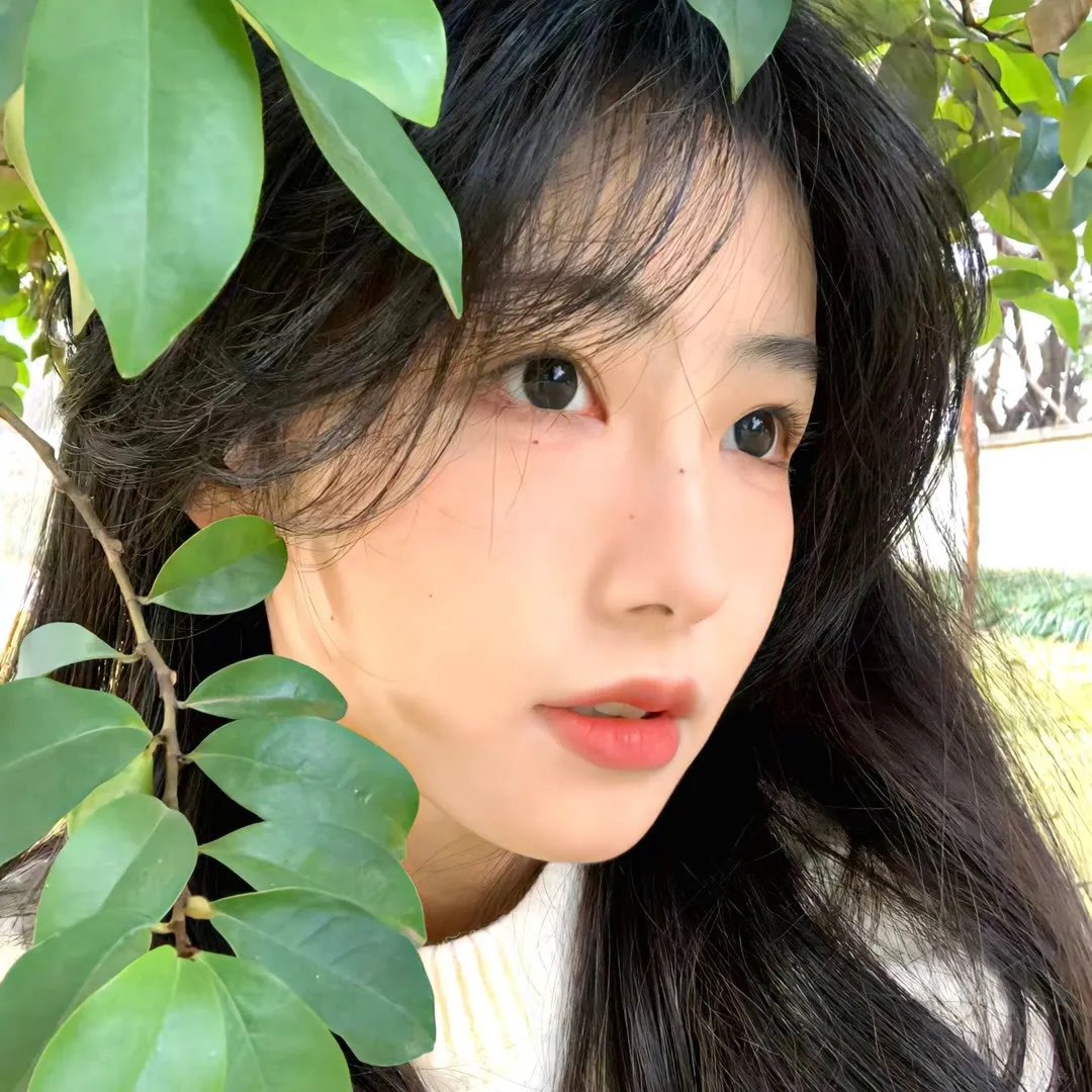 卡美拉万岁